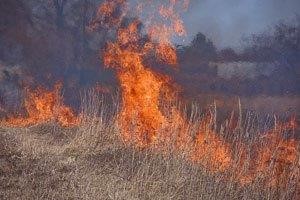 Внимание! В Курганской области начался пожароопасный сезон