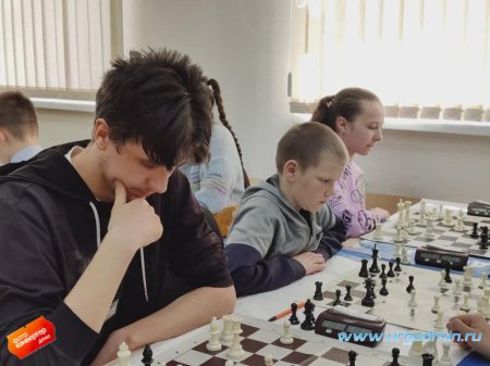 Шахматная лига имени международного мастера Алексея Пугачёва.