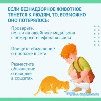 ПАМЯТКА о  требованиях и правилах по содержанию домашних животных